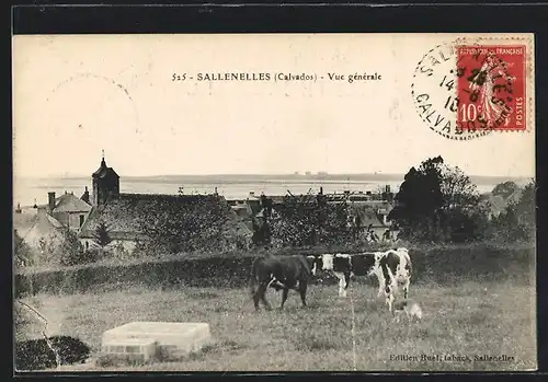 AK Sallenelles, Vue générale