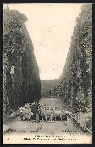 AK Thury-Harcourt, La tranchée du hom, Schäfer mit seiner Schafherde