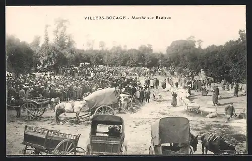 AK Villers-Bocage, Marché aux Bestiaux