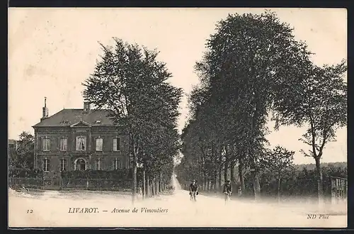 AK Livarot, Avenue de Vimoutiers