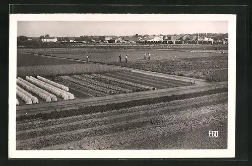 AK Fleury-les-Aubrais, Une vue du potager de l'Etablissement Psychotherapique