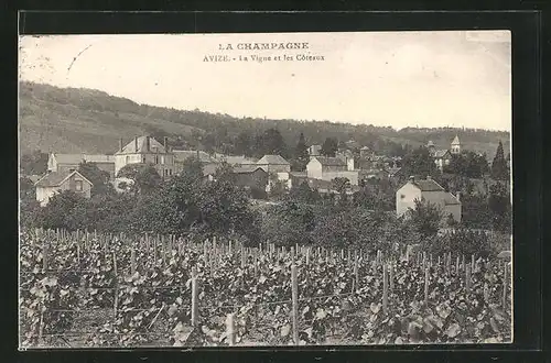 AK Avize, La Vigne et les Côteaux, Weinberge