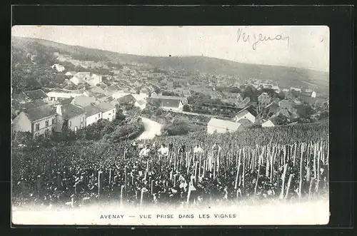 AK Avenay, Vue prise dans les vignes