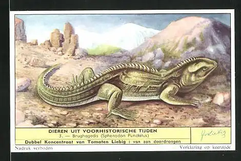 Sammelbild Liebig, Dubbel Koncentraat van Tomaen, Dieren uit voorhistorische Tijden: 3. Brughagedis, Echse