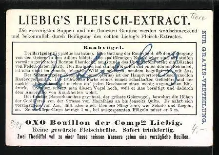 Sammelbild Liebig, Liebig`s Fleisch-Extract - Raubvögel, Bartgeier, Schmutzgeier und Condor