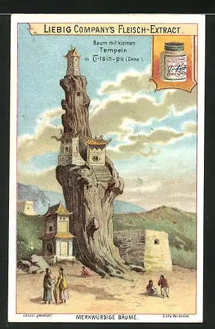 Sammelbild Liebig, Baum mit kleinen Tempeln in Ti-tsin-pu