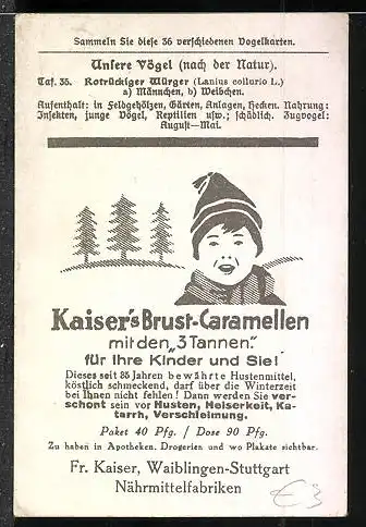 Sammelbild Fr. Kaiser GmbH, Kaiser's Brust-Caramellen mit den 3 Tannen, Rotrückiger Würger als Paar auf Zweigen