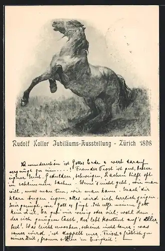 Künstler-AK Zürich, Rudolf Koller Jubiläums-Ausstellung 1898, Pferd bäumt sich auf