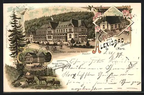 Lithographie Alexisbad i. Selkethal, Hôtel Försterling, Herzogl. Villa, Badehaus