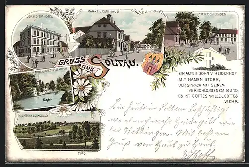 Lithographie Soltau, Markt & Rathaus, Unter den Linden, Meyer's Hotel