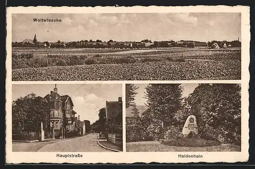 AK Woltwiesche, Hauptstrasse, Heldenhain, Ortsansicht