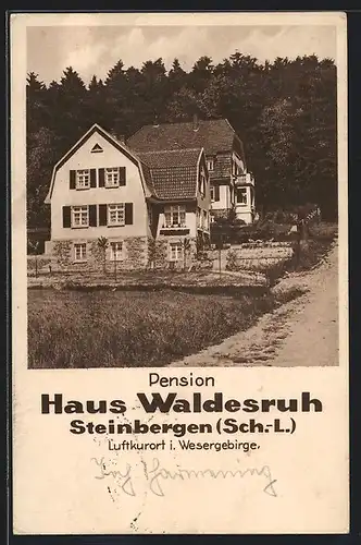 AK Steinbergen /Sch.-L., Hotel Pension Haus Waldesruh