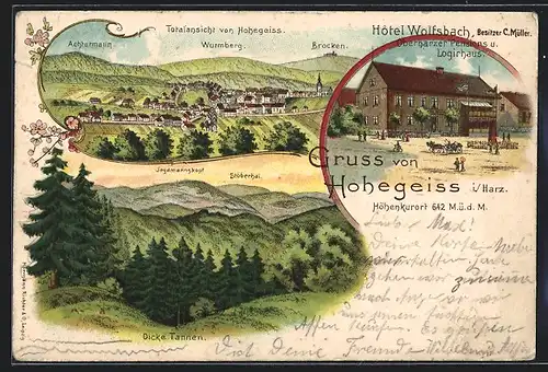 AK Hohegeiss i. Harz, Hotel Wolfsbach mit Panoramablick auf die Ortschaft und Umgebung