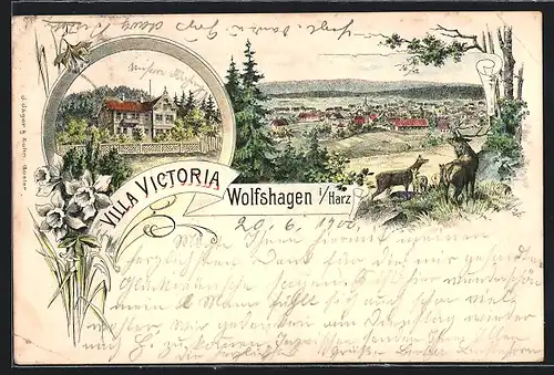 Lithographie Wolfshagen i / Harz, Villa Victoria, Teilansicht mit Hirsch und Rehen