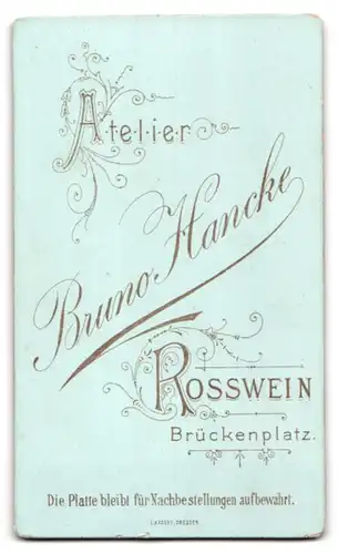 Fotografie Bruno Hancke, Rosswein, Brückenplatz, Elegante Dame mit Hochsteckfrisur und schwarzem Kleid