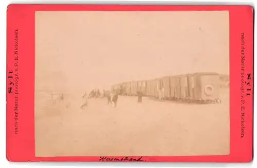 Fotografie P. E. Nickelsen, Sylt, Ansicht Westerland, Blick auf den Herrenstrand mit Badehäuschen