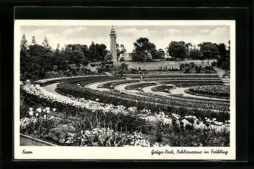 AK Essen, Gruga-Park, Dahlienarena im Frühling