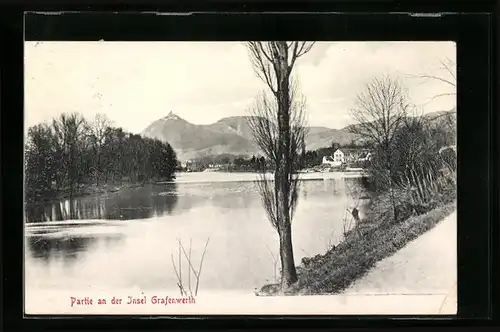 AK Grafenwerth, Partie an der Insel