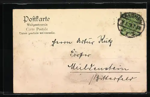 AK Remagen a. Rhein, Rheinansicht mit Stadtpanorama