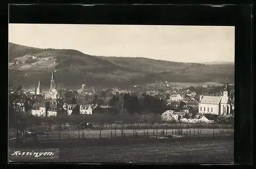 AK Kissingen, Panorama der Stadt