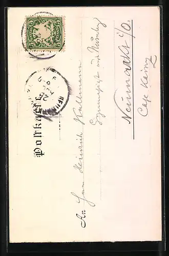 AK Neuburg a.D., Ortsansicht mit Fluss