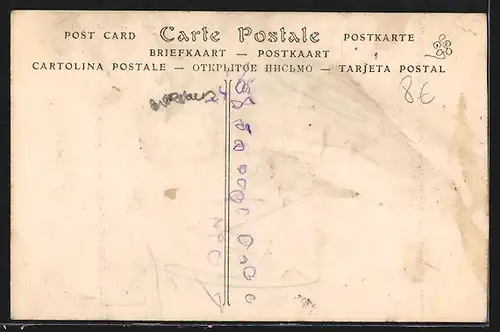 AK Houlgate, A la recherche des Moules