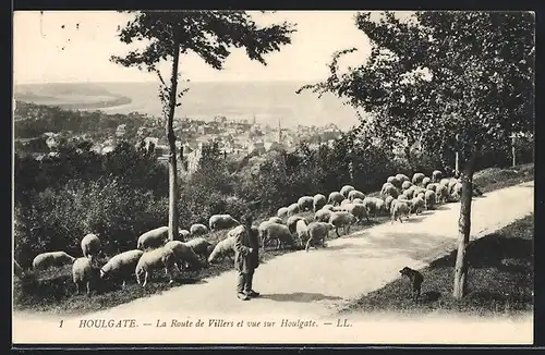 AK Houlgate, La Route de Villers et vue sur Houlgate