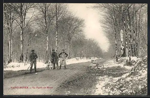 AK Saint-Sever, La Foret en Hiver