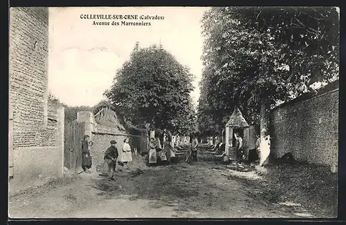 AK Colleville-sur-Orne, Avenue des Marronniers