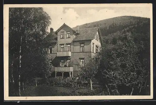 AK Bad Harzburg, Haus Hiltrud, Fritz Königstr. 38