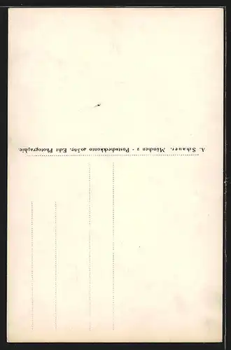 AK Bad Reichenhall, Totalansicht mit Bergen