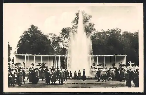 AK Dresden, Jubiläums-Gartenbau-Ausstellung 1926, Rosenhof mit Springbrunnen