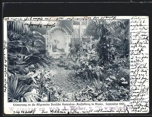 AK Mainz, Allgemeine Deutsche Gartenbau-Ausstellung 1901, Wintergarten von A. Weber