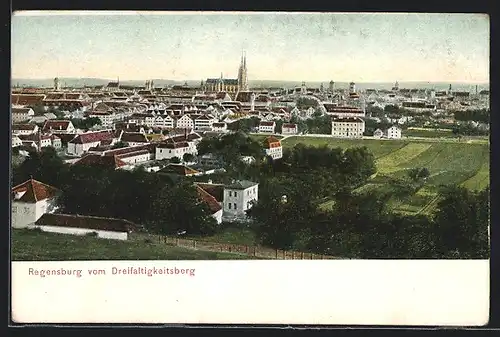 AK Regensburg, Ortsansicht vom Dreifaltigkeitsberg