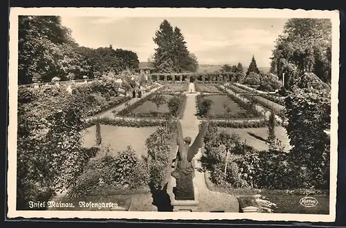 AK Insel Mainau, Blick auf Rosengarten
