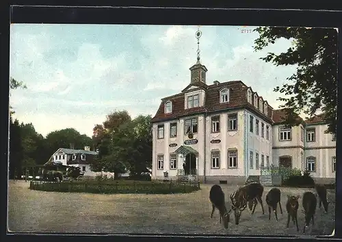 AK Eisenach, Hotel-Restaurant Hohesonne, Bes. W. Schäfer