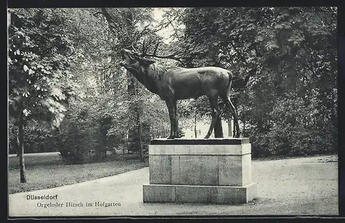 AK Düsseldorf, Orgelnder Hirsch im Hofgarten