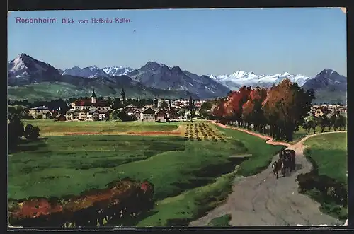 AK Rosenheim, Blick vom Hofbräu-Keller