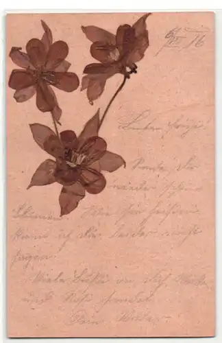 Trockenblumen-AK Gruss mit getrockneten und gepressten Blüten