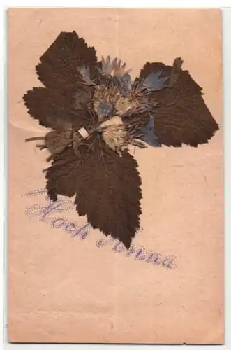 Trockenblumen-AK Gruss mit getrocknetem und gepresstem Sträusschen aus Kornblumen und Klee