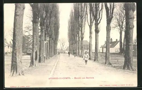 AK Avesnes-le-Comte, Marché aux Bestiaux