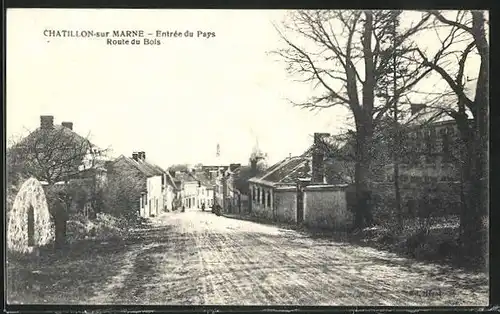 AK Chatillon-sur-Marne, Entree du Pays, Route du Bois