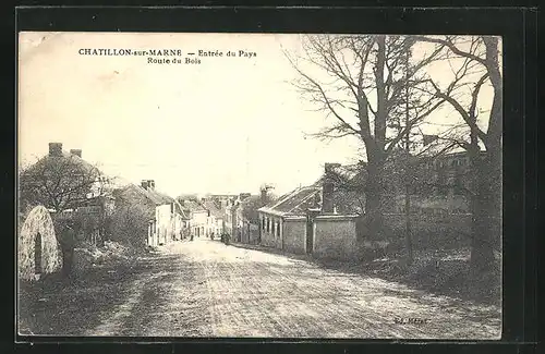 AK Chatillon-sur-Marne, Entree du Pays, Route du Bois