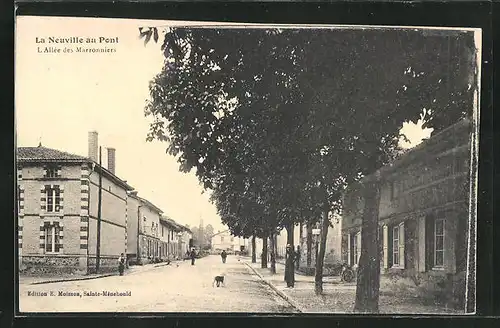 AK La Neuville-au-Pont, l'Allee des Marronniers