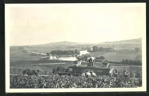 AK Hautvillers, Panorama