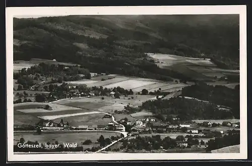 AK Gotteszell, Ortsansicht mit Wald