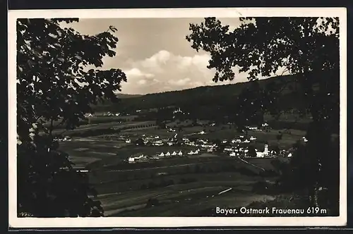 AK Frauenau, Gesamtansicht des Ortes