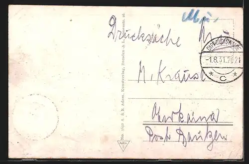 AK Dippoldiswalde i. Sa., Ortsansicht der Stadt