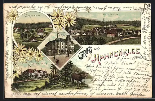 Lithographie Hahnenklee, Hotel und Kurhaus Hahnenklee, Hotel Deutsches Haus, Bockswiese