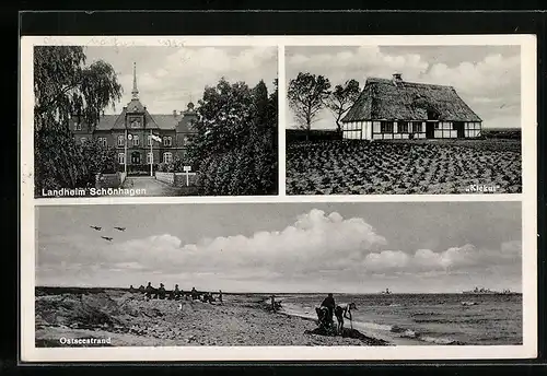 AK Schönhagen /Ostsee, Landheim Schönhagen, Haus Kiekut, Ostseestrand